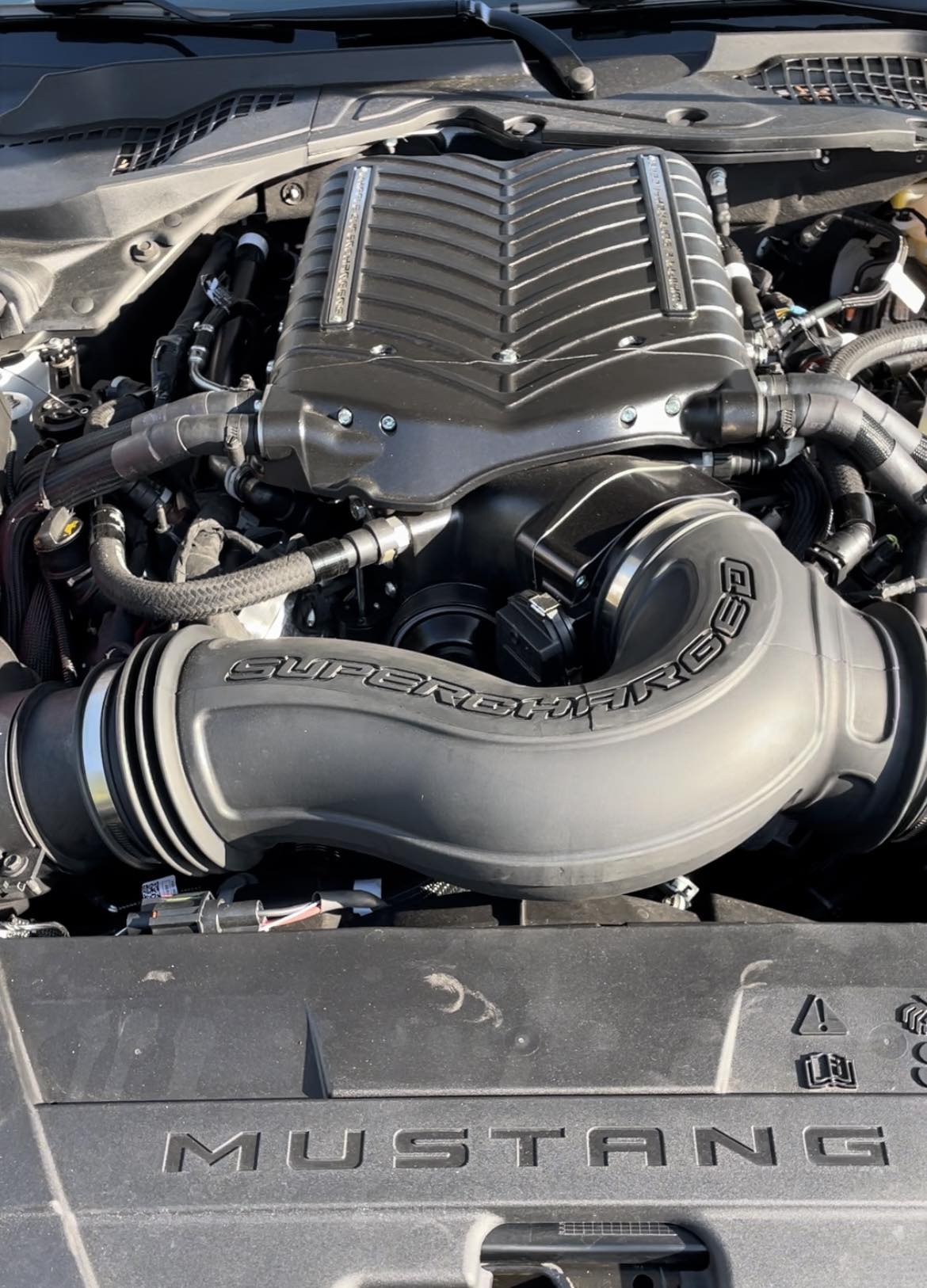 WHIPPLE SUPERCHARGERS S650 Stage 2 Gen 6 3.0L Supercharger Kit 2024
